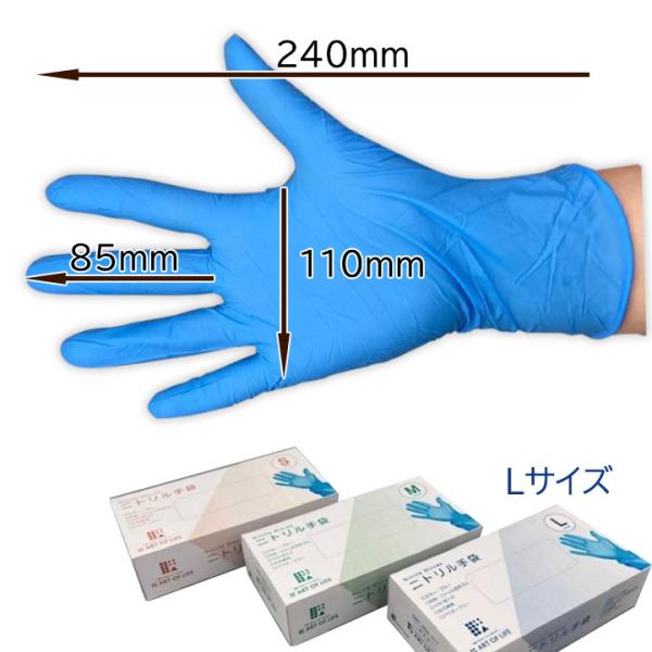 ������ޡ�ARGL-1017 �˥ȥ�� �Ȥ��Τ� �֥롼 �̥�������100�����ꡡ��ʴ̵��