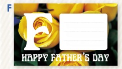 2024�������å����������� �ݿ����ꥸ�ʥ�ڼ���������