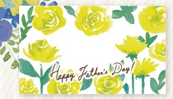 2024�������å����������� �ݿ����ꥸ�ʥ�ڼ���������