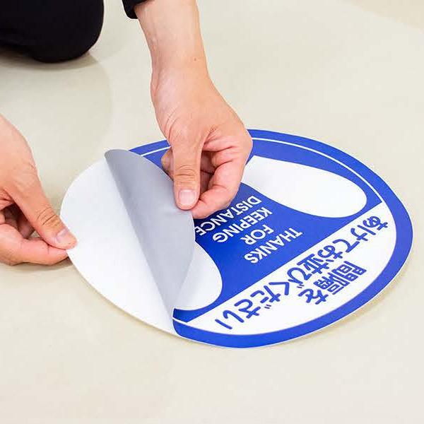 �����ƥå����֥��������ǥ������󥹥����� �ե��������ѡʣ��ˡ�5����