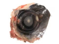 �ޤ������̤ܶ���ä������ꡡ3������