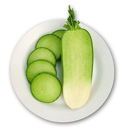 ダイコン　天津青長