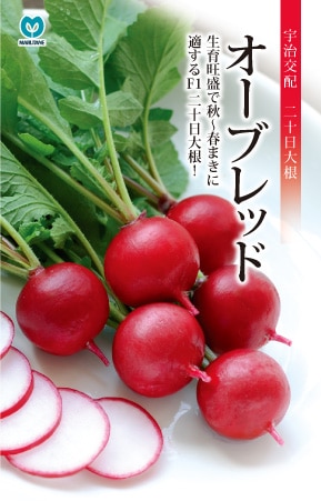 ハツカダイコン　オーブレッド【今期品切れ】