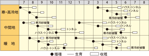 カブ　京一（きょういち）