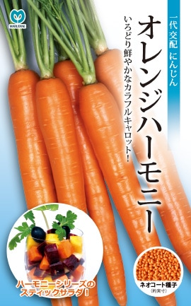 ニンジン　オレンジハーモニー