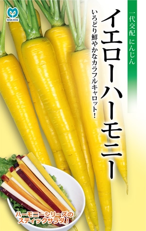 ニンジン　イエローハーモニー
