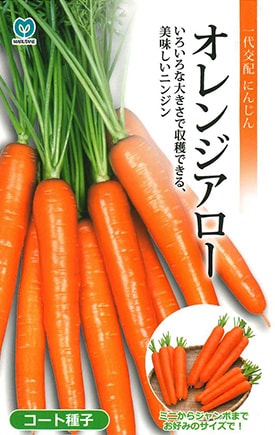 ニンジン　オレンジアロー
