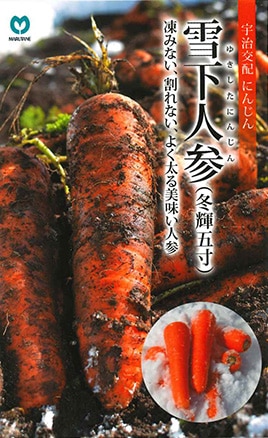 ニンジン　雪下人参