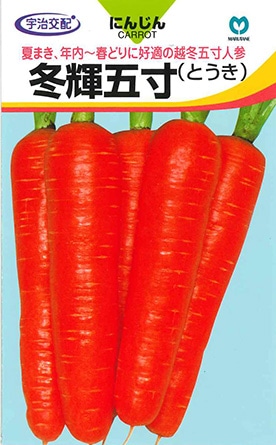 ニンジン 冬輝五寸（とうきごすん） | 根菜類,ニンジン | 丸種