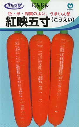 ニンジン　紅映五寸（こうえい）