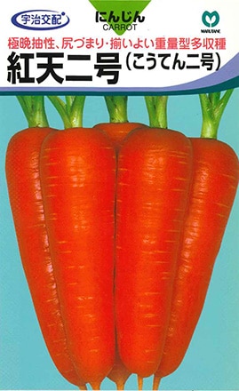 ニンジン　紅天二号（こうてん）