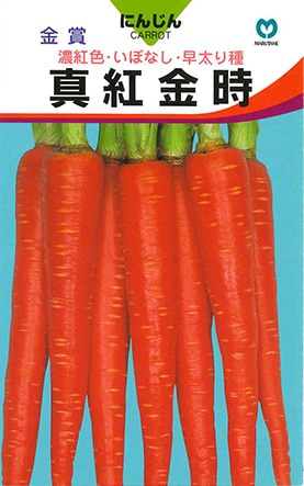 ニンジン　真紅金時（しんこうきんとき）