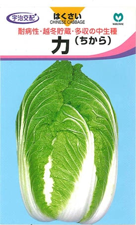 ハクサイ　力（ちから）