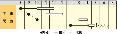 ハナナ　CR京の春