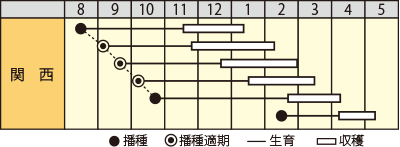 ハナナ　CR花かんざし