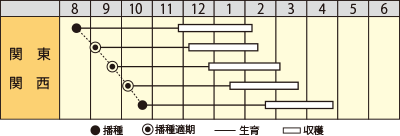 ハナナ　CR華の舞