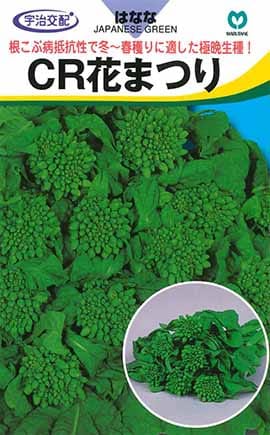 SK9-099 ブロッコリー種子 5000粒 - 野菜アウトレット ショップ コート
