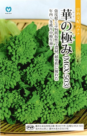 ハナナ　華の極み