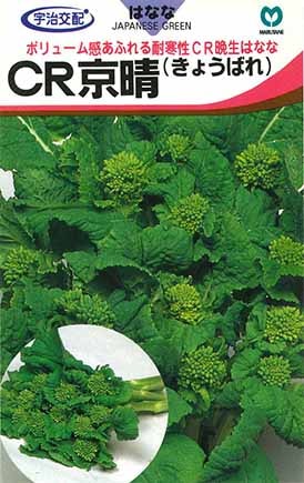 ハナナ　CR京晴
