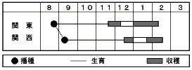 ハナナ　CR京晴