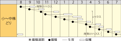 ミズナ　水明