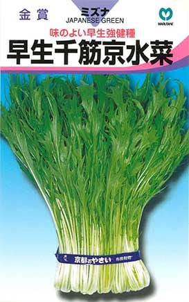 ミズナ　早生千筋京水菜