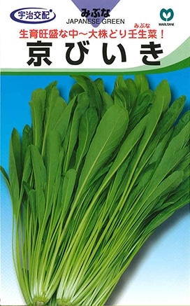 ミブナ　京びいき