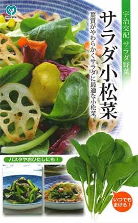 コマツナ　サラダ小松菜