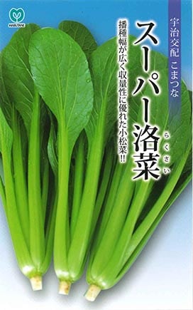 コマツナ スーパー洛菜（らくさい） | 葉菜類,コマツナ・ツケナ