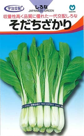 シロナ　そだちざかり