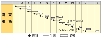 シロナ　そだちざかり