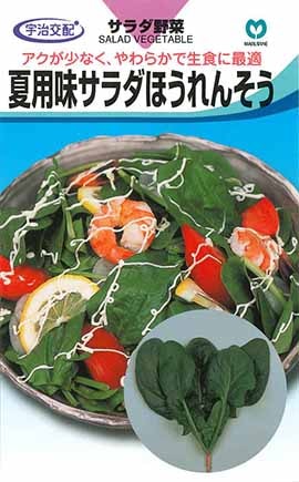 ホウレンソウ　夏用味サラダほうれんそう