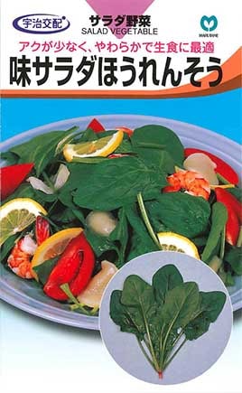 ホウレンソウ　味サラダほうれんそう