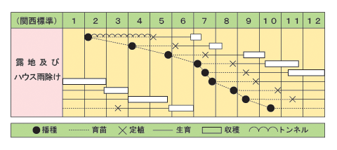 葉ネギ　スーパー京香