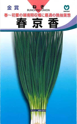 葉菜類,ネギ・ニラ | 丸種オンラインショップ |野菜種子販売