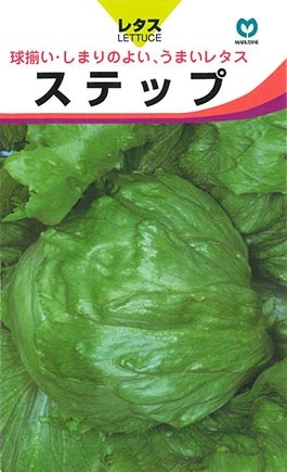 レタス　ステップ