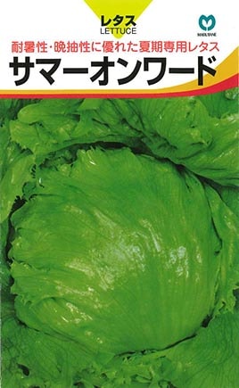 レタス　サマーオンワード
