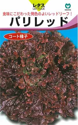 レタス　パリレッド