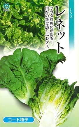 ミニレタス　レネット