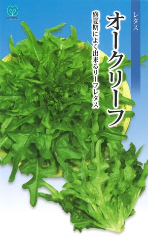 レタス オークリーフ | 葉菜類,レタス | 丸種オンラインショップ |野菜 