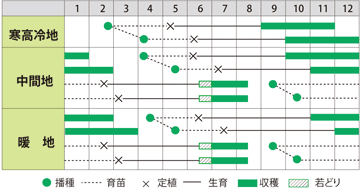 リーキ　ロングトン