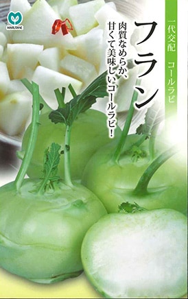 コールラビ　フラン（本年品切）