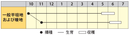 実エンドウ　万竜（まんりゅう）