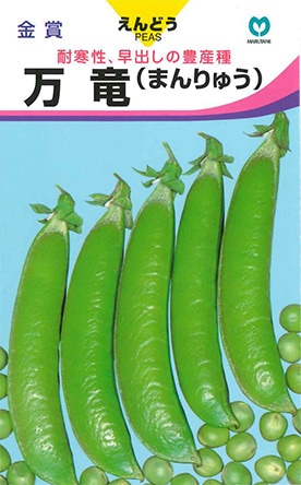 実エンドウ　万竜（まんりゅう）