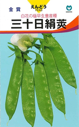 莢エンドウ　三十日絹莢