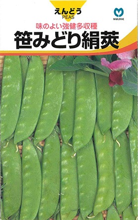 莢エンドウ　笹みどり