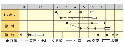 小玉スイカ　姫甘泉シャリエ