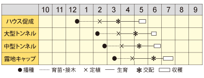 小玉スイカ　姫新月