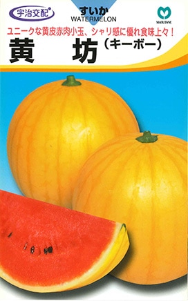 小玉スイカ　黄坊（きーぼー）