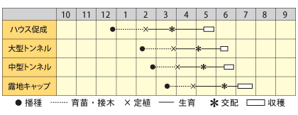 中玉スイカ 黄衛門(きえもん)